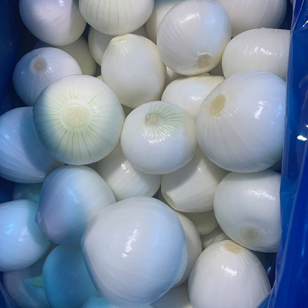 China Fresh Onion For Sale China Fresh Onion For Sale