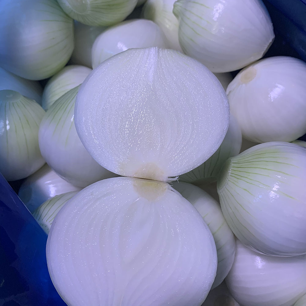 China Fresh Onion For Sale China Fresh Onion For Sale