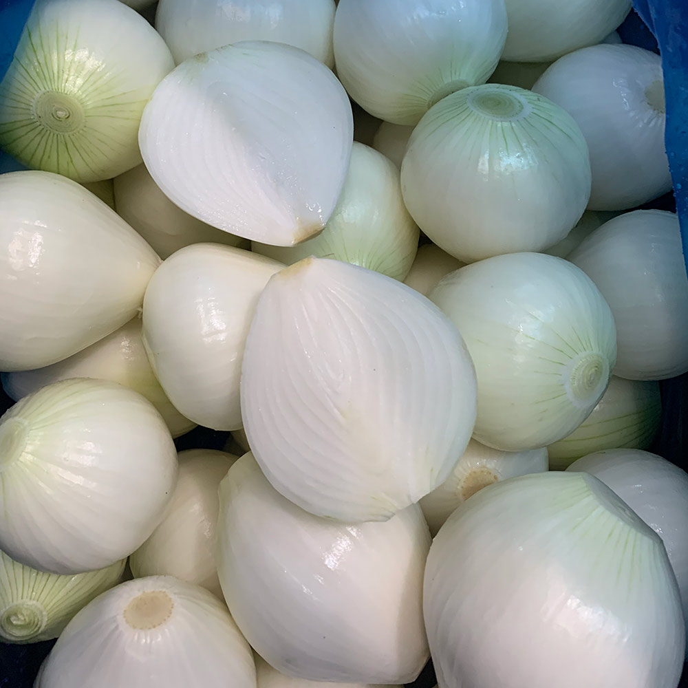 China Fresh Onion For Sale China Fresh Onion For Sale