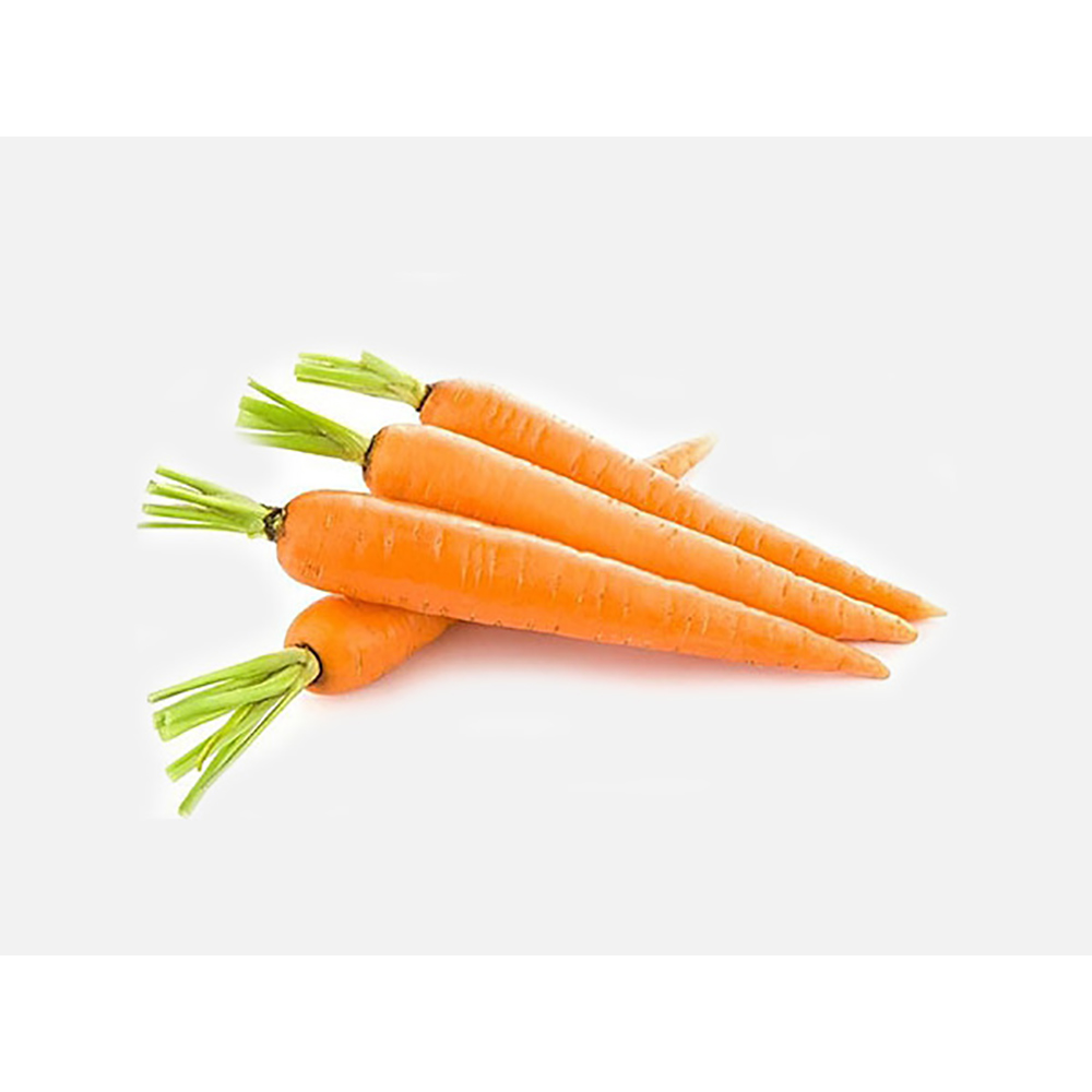 China Fresh Carrot For Sale China Fresh Carrot For Sale