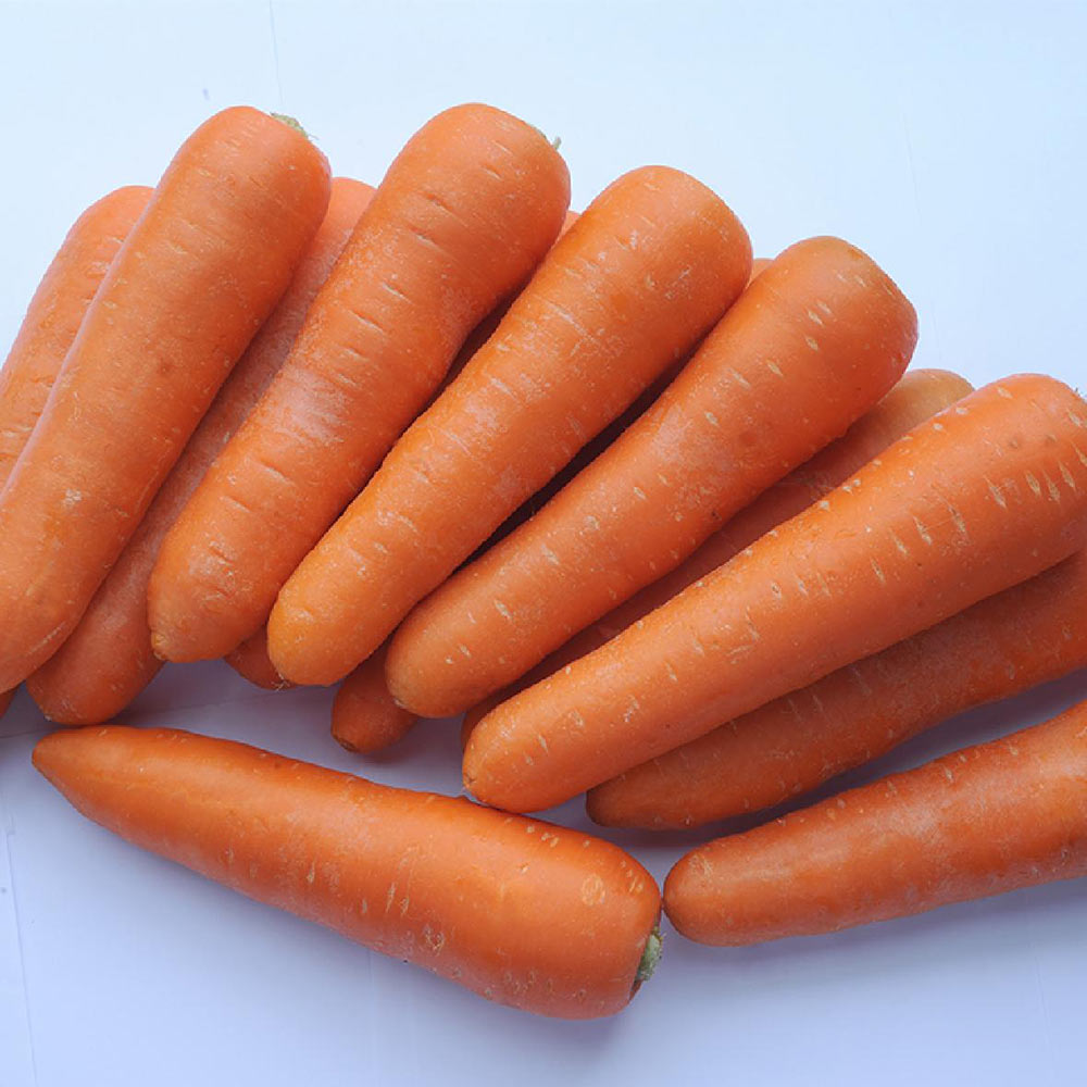 China Fresh Carrot For Sale China Fresh Carrot For Sale