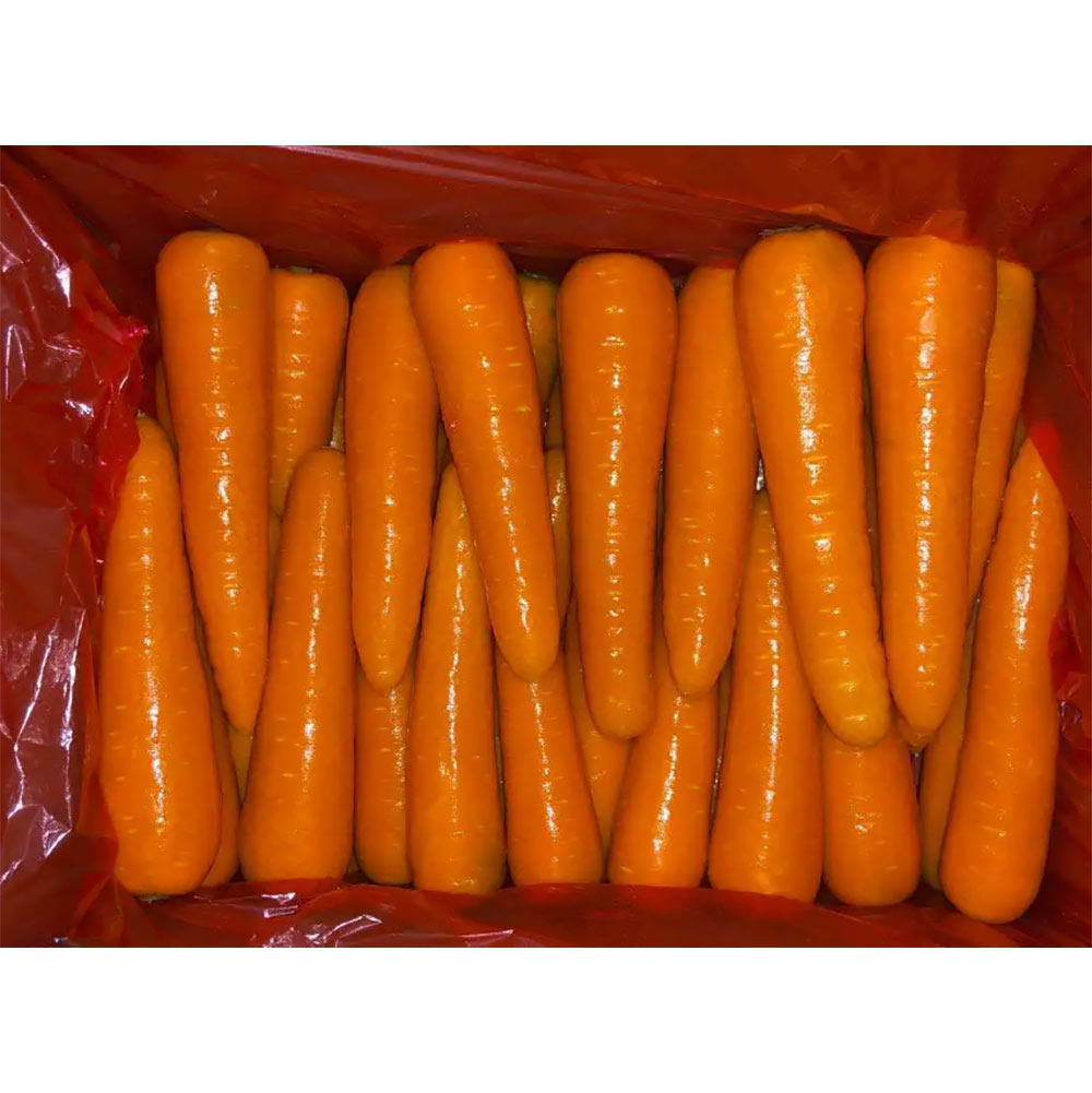 China Fresh Carrot For Sale China Fresh Carrot For Sale