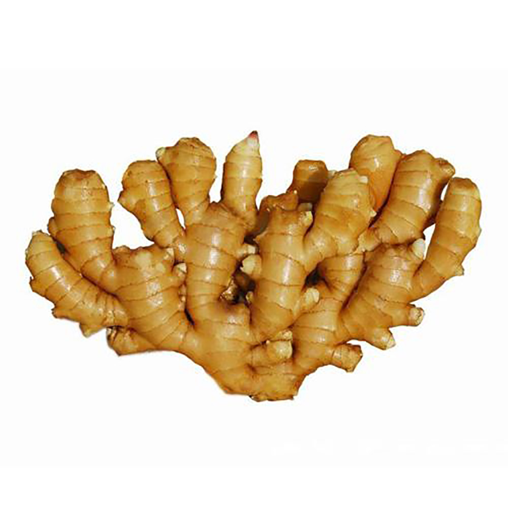 China Fresh Ginger For Sale China Fresh Ginger For Sale