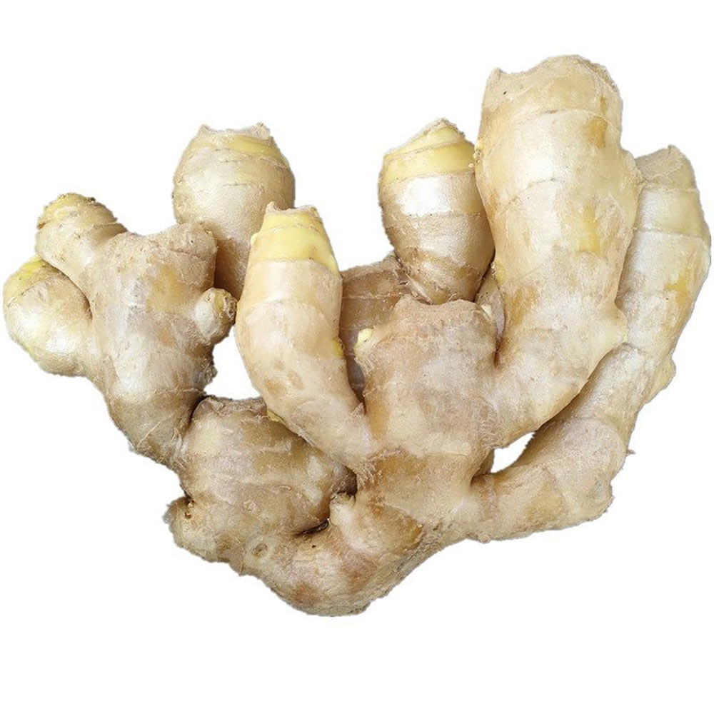 China Fresh Ginger For Sale China Fresh Ginger For Sale