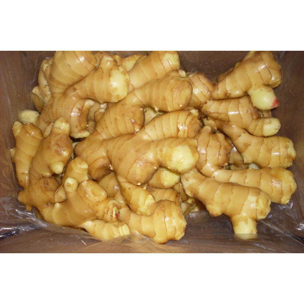 China Fresh Ginger For Sale China Fresh Ginger For Sale