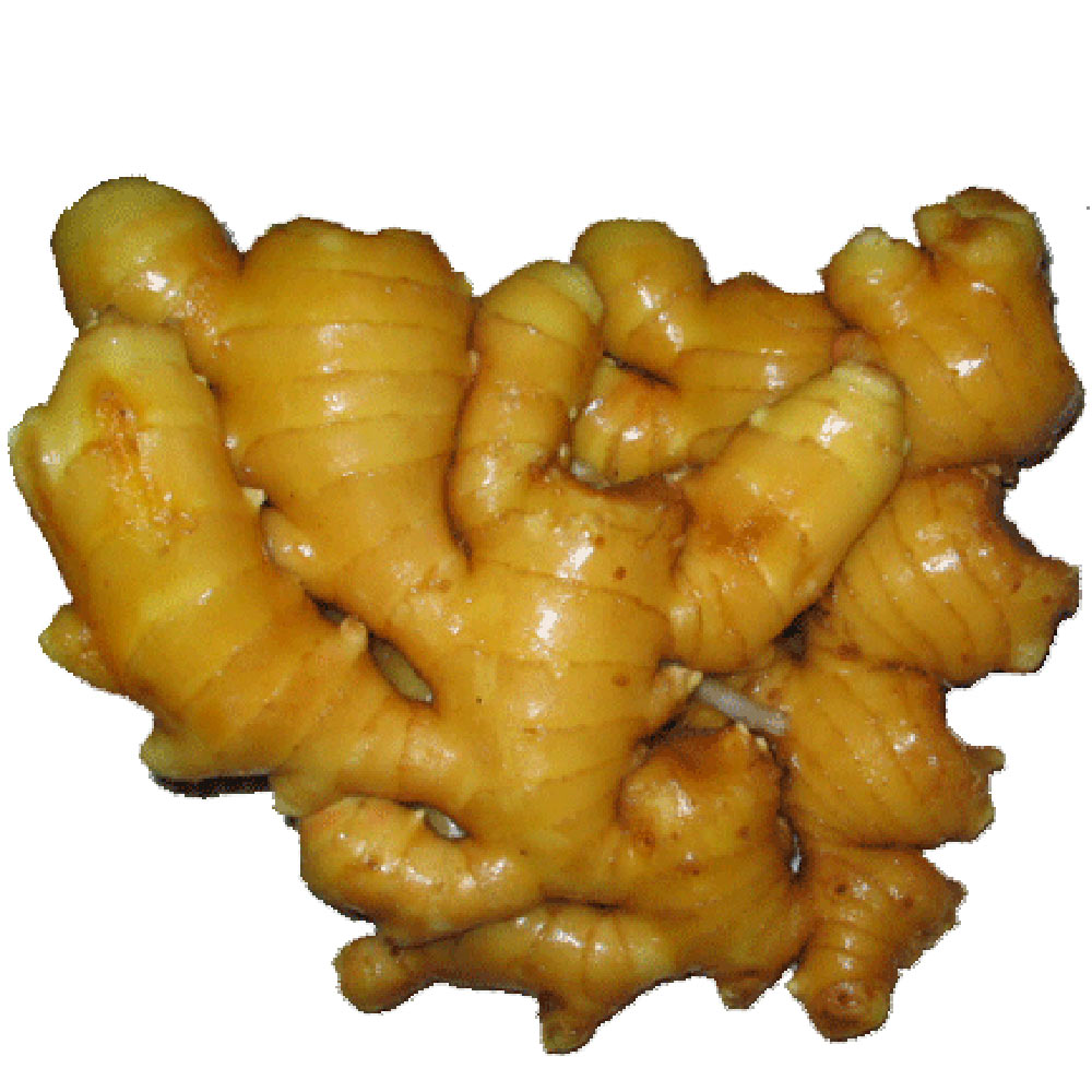 China Fresh Ginger For Sale China Fresh Ginger For Sale