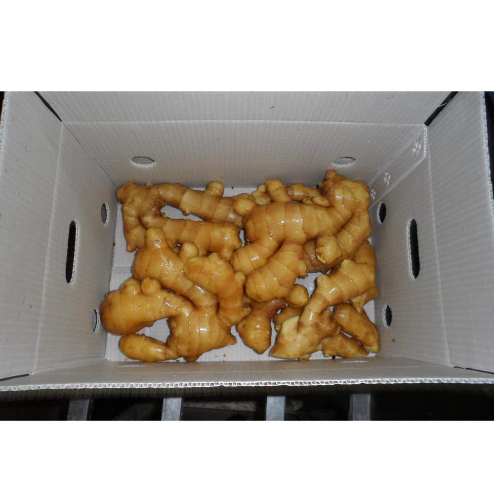 China Fresh Ginger For Sale China Fresh Ginger For Sale
