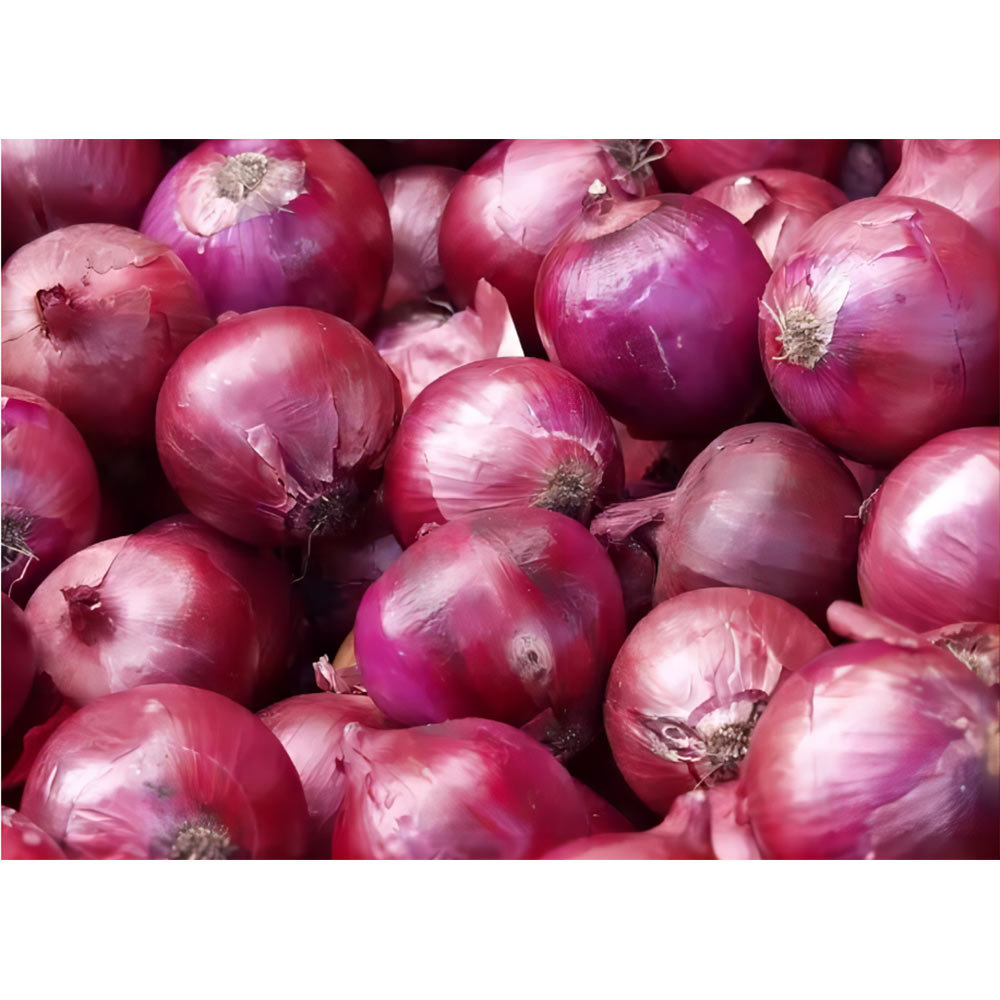 China Fresh Onion For Sale China Fresh Onion For Sale
