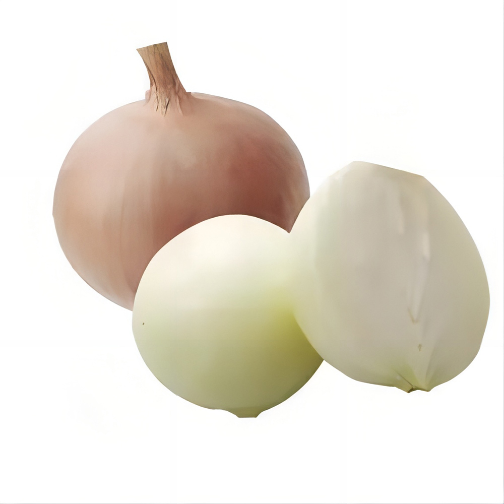 China Fresh Onion For Sale China Fresh Onion For Sale