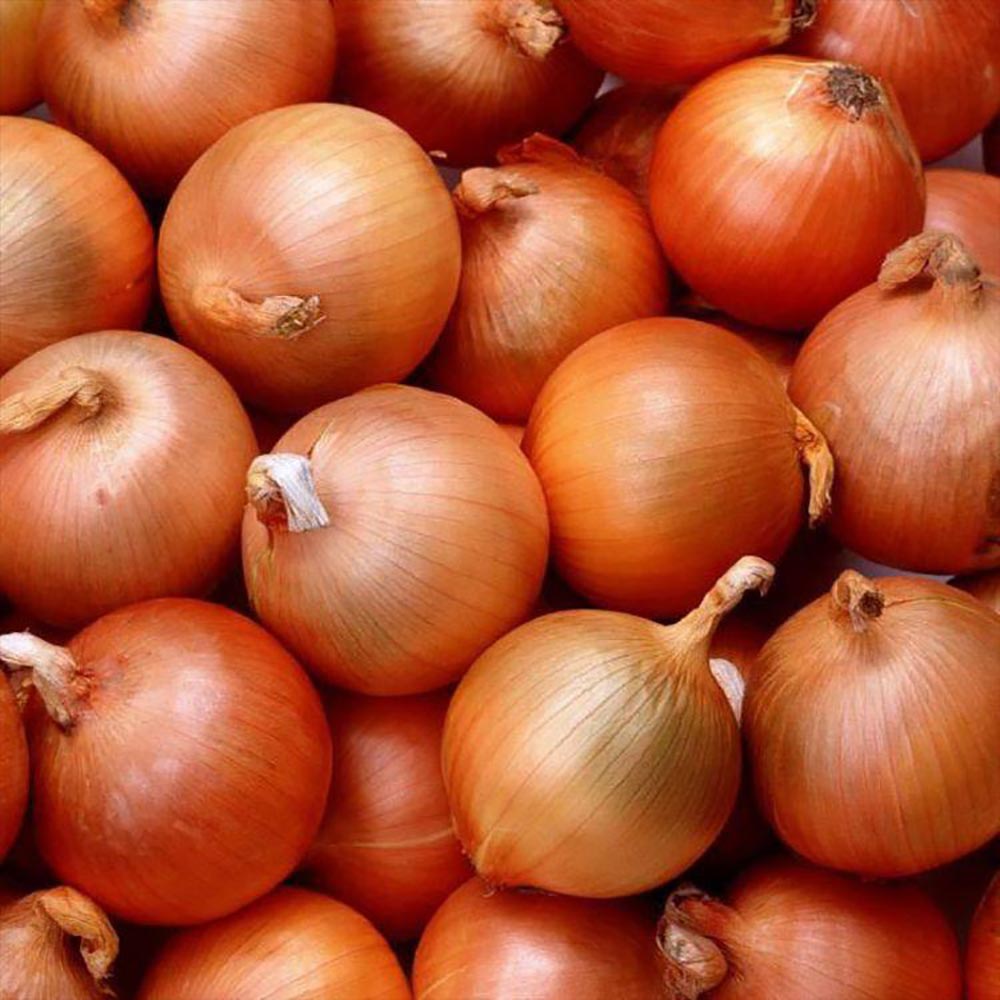China Fresh Onion For Sale China Fresh Onion For Sale