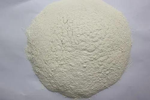 garlic powder garlic powder