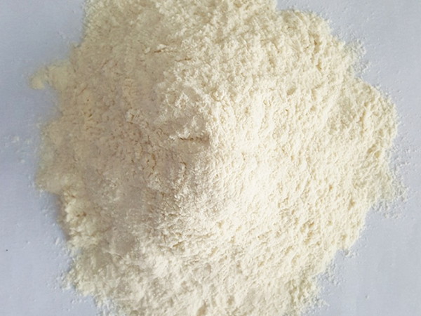 garlic powder garlic powder