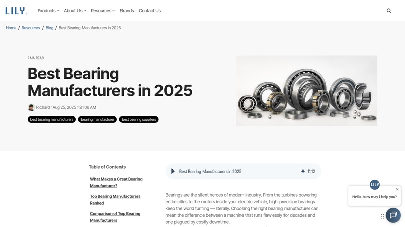 Bearing Manufacturers in 2025 Self-Aligning Roller Bearing